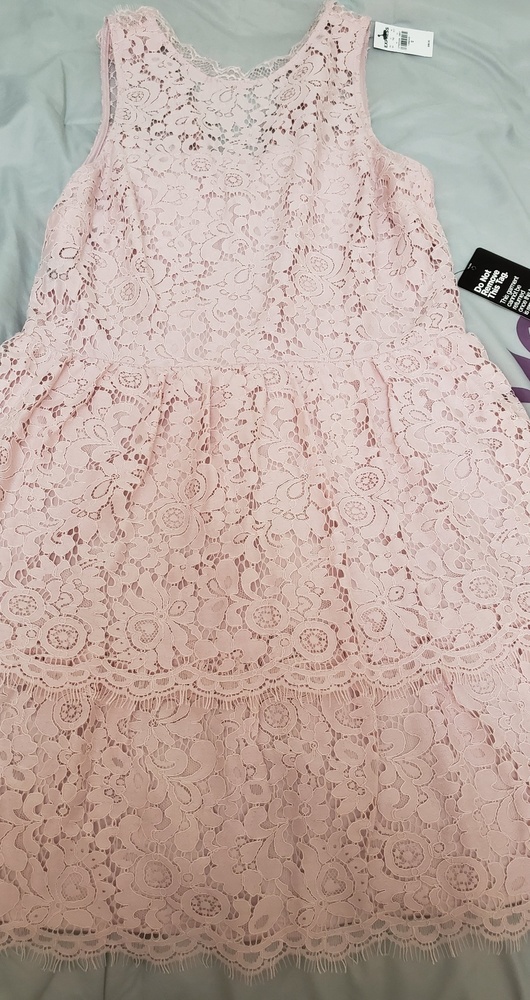 Express Special Occasion Pink Lace Dress
